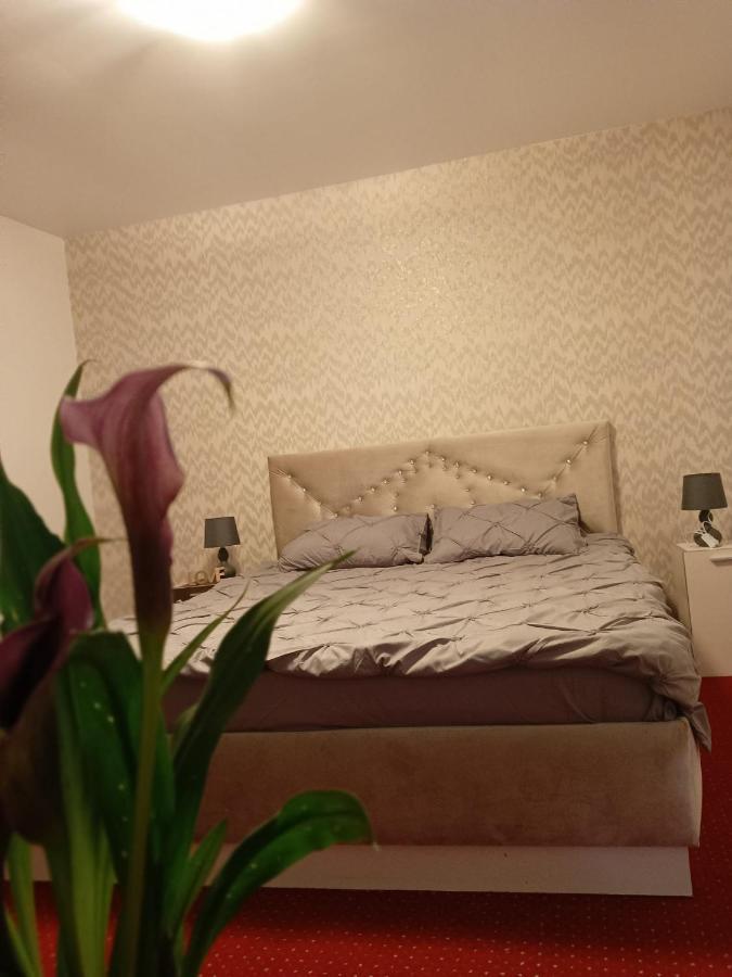 Ferienwohnung Karina House Brașov Exterior foto